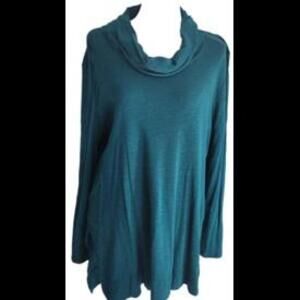 (Gb20)J. JILL Pima Cowl Neck Tunic Top Long Sleeve Side Slit Teal Blue Green,  L